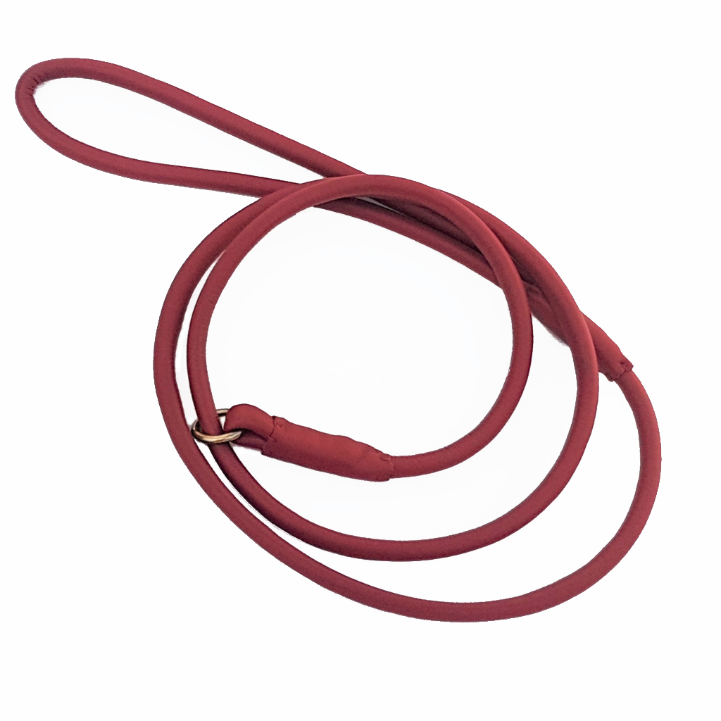 Leather Dog show slip lead - 5mm