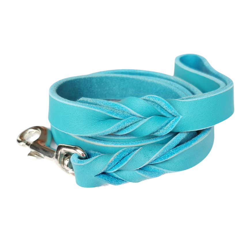 Leather dog lead - Super Soft leather
