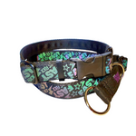 Reflective dog collar - Fast AF