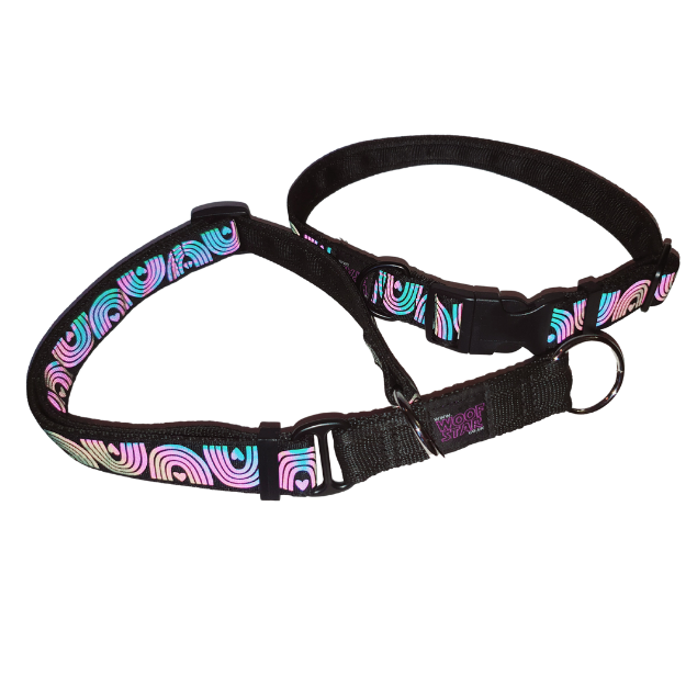 Reflective dog collar 