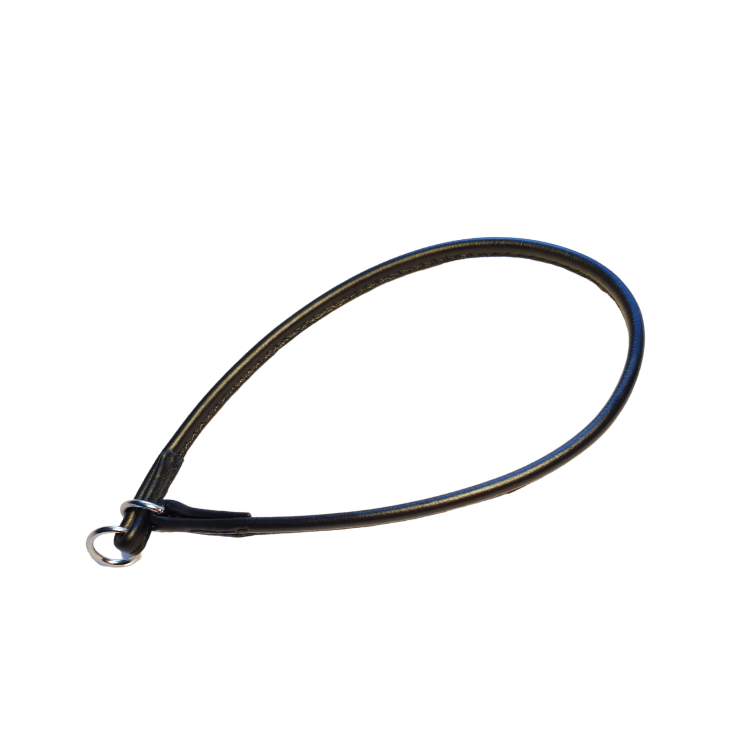 Dog show slip collar