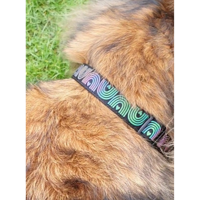 Reflective dog collar - Rainbows