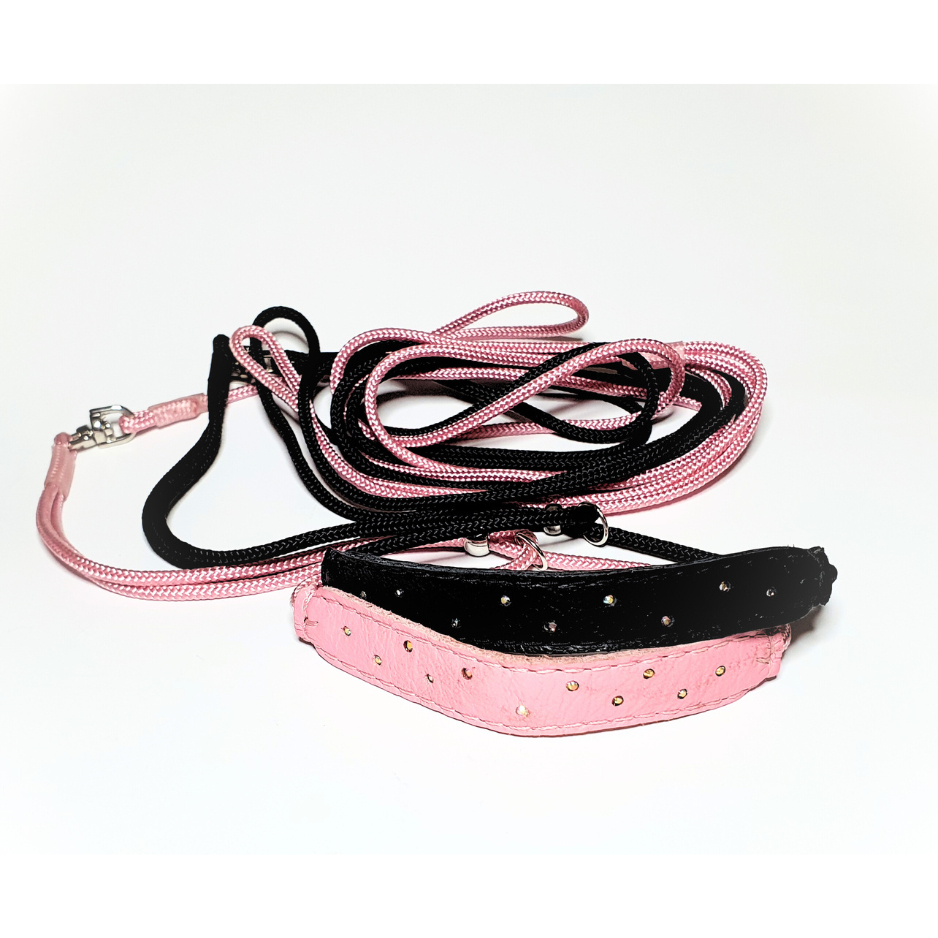 Small dog show lead - comfort collar and bling