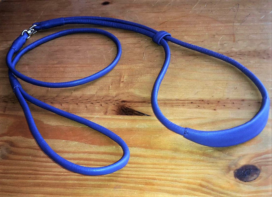 Leather Loop dogshow lead with kindness pad