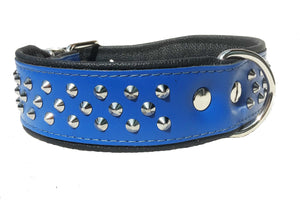Studded collar -Blue