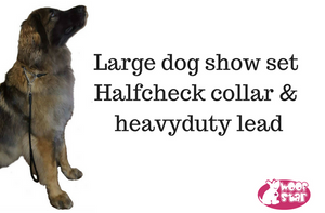 Large giant dog show lead (8mm)