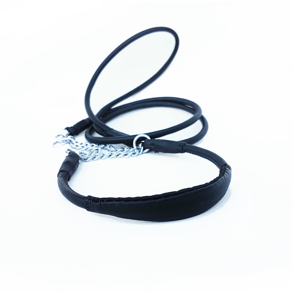 Chain martingale show collar cheap