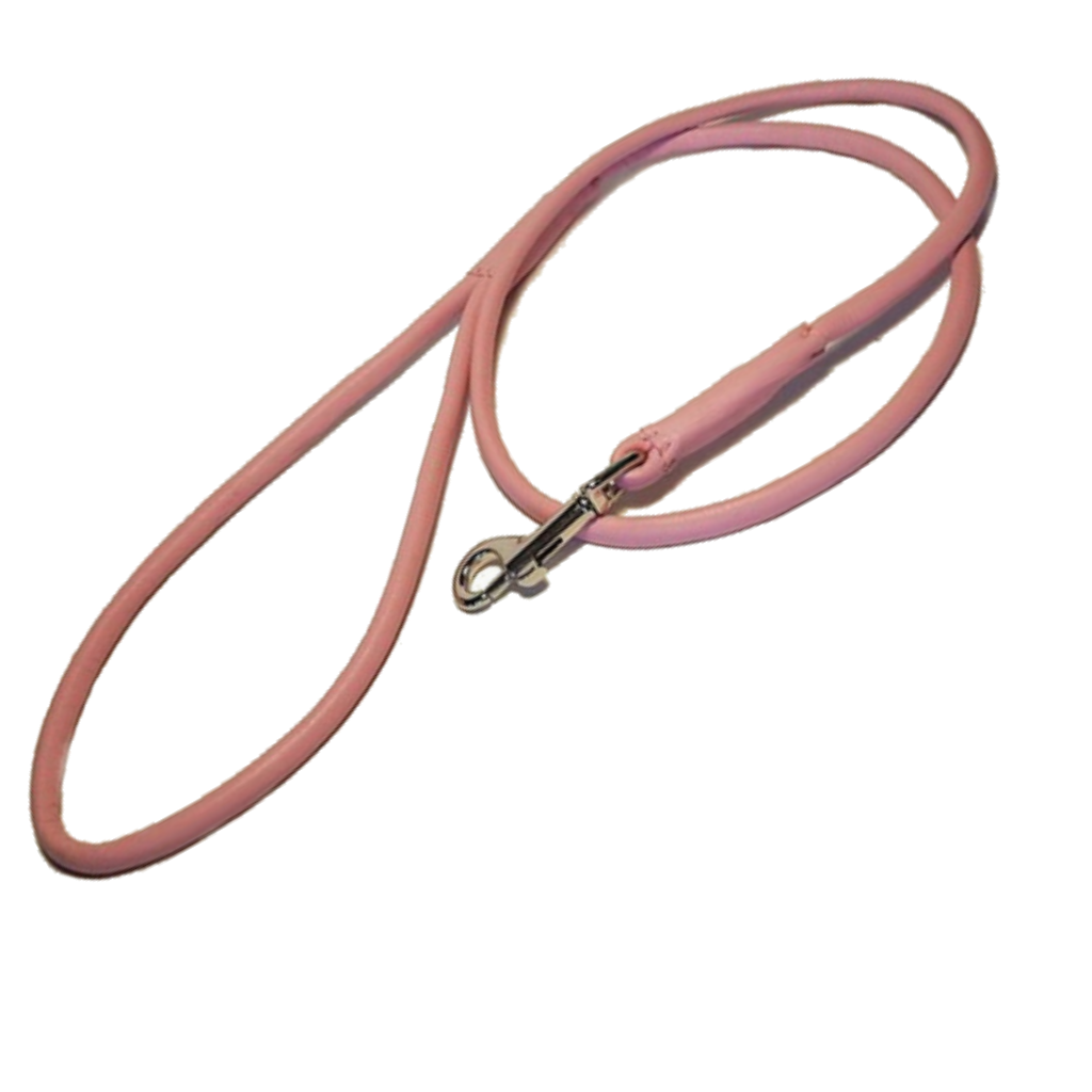Leather dog show lead  - 5mm thickness