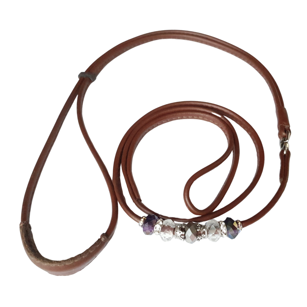 Leather Loop dogshow lead with Kindness pad & Bling