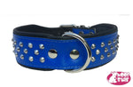 Studded collar -Blue