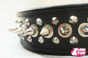 Spiked Dog Collar - Black