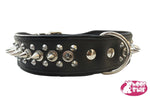 Spiked Dog Collar - Black