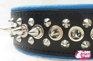 Spiked Dog Collar - Blue