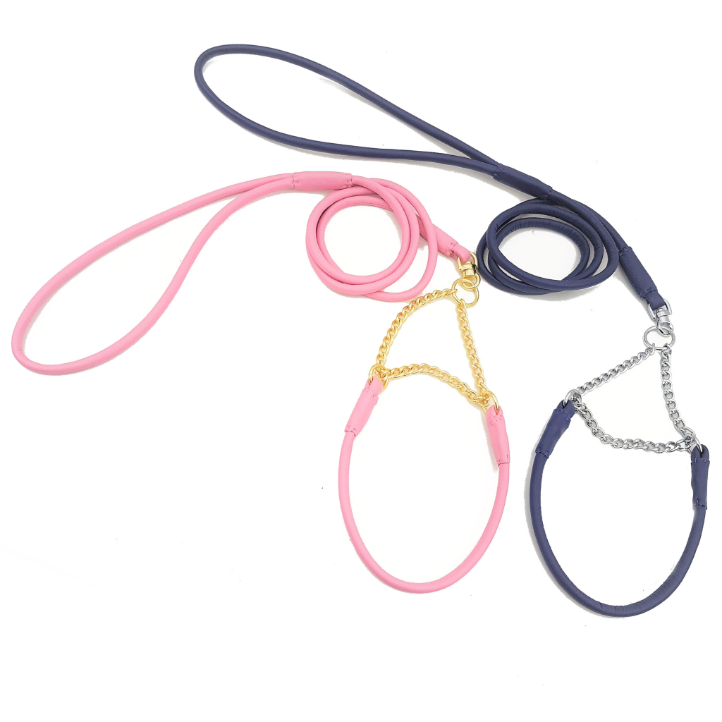 Martingale Dog show set with Swivel